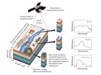 Illustration of a spaceborne hyperspectral sensor imaging Earth's surface: a satellite captures a stack of co-registered narrow-band images across the visible and near-infrared spectrum, producing a 3D cube whose third dimension is wavelength; each pixel of the cube carries a full reflectance spectrum, and characteristic reflectance curves are shown for soil, water, and vegetation.